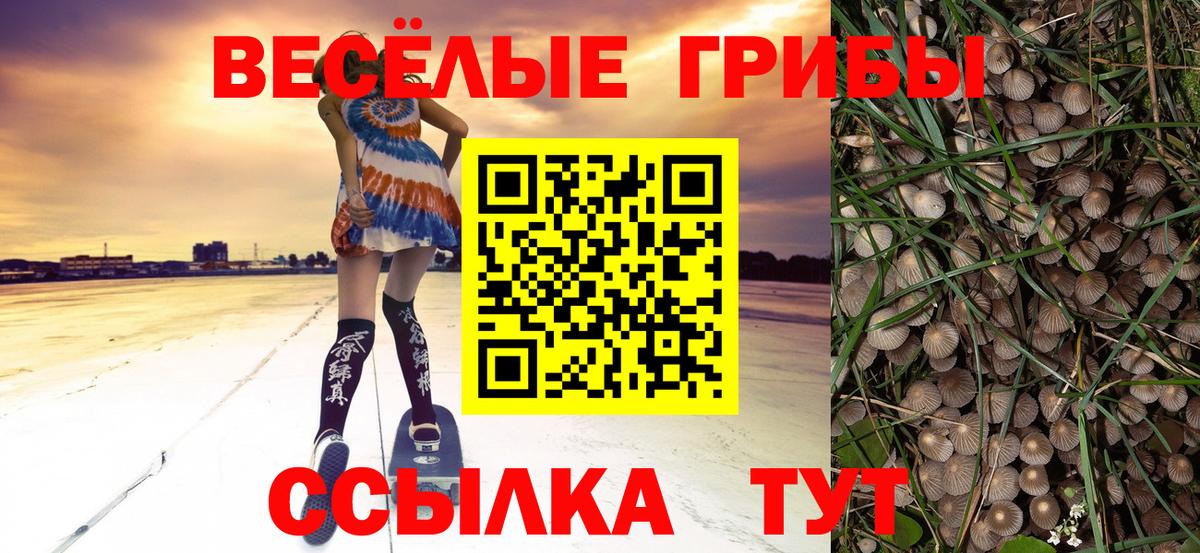 Псилоцибиновые грибы Psilocybe Батайск