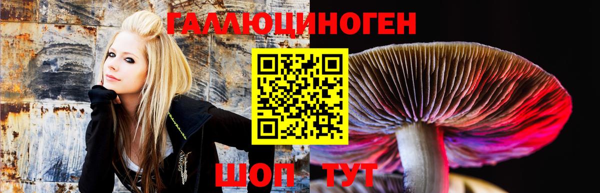 Батайск  Псилоцибиновые грибы ЛСД  продажа наркотиков  Галлюциногенные грибы Cubensis  Вход с VPN 